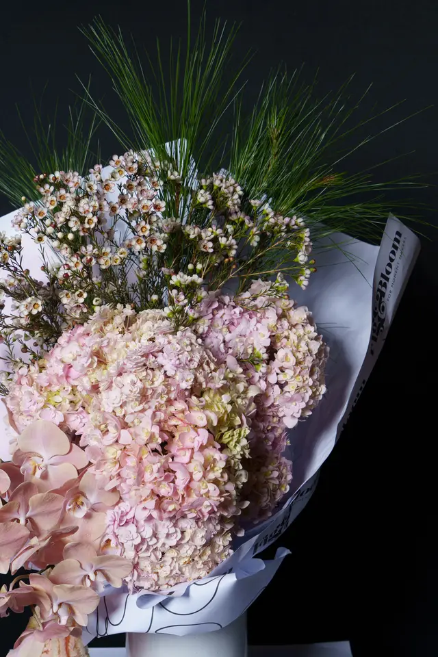 A vibrant floral bouquet is presented against a dark background, featuring a prominent cluster of light pink hydrangeas. Peach-toned orchids are visible in the lower left, while delicate white and pink wax flowers and long green pine needles emerge from the top. The bouquet is wrapped in white paper with black text and graphic elements.